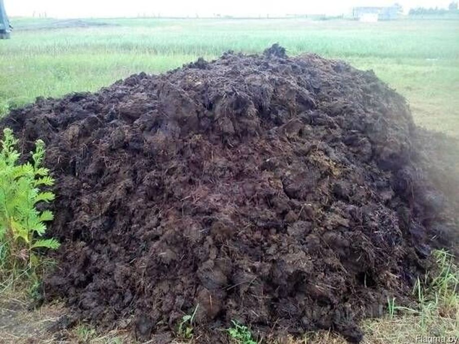 Перегной конский (удобрение) мешок 50л п/п. Подстилочный навоз. Перегной в мешках. Удобрения коровий навоз. Удобрения в мешках.