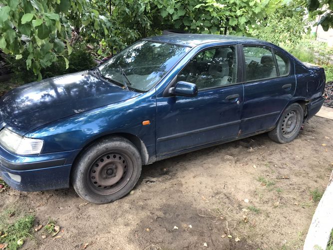 Nissan Primera P10, 1995 г., дизель, механика, купить в Новолукомле - фото, хара